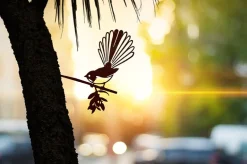 Oiseau sur pique rhipidura en acier corten