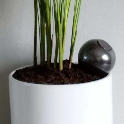 Ollas à planter en argile medium Métallique