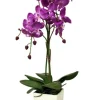 Orchidée fuchsia en pot blanc (Fuchsia)