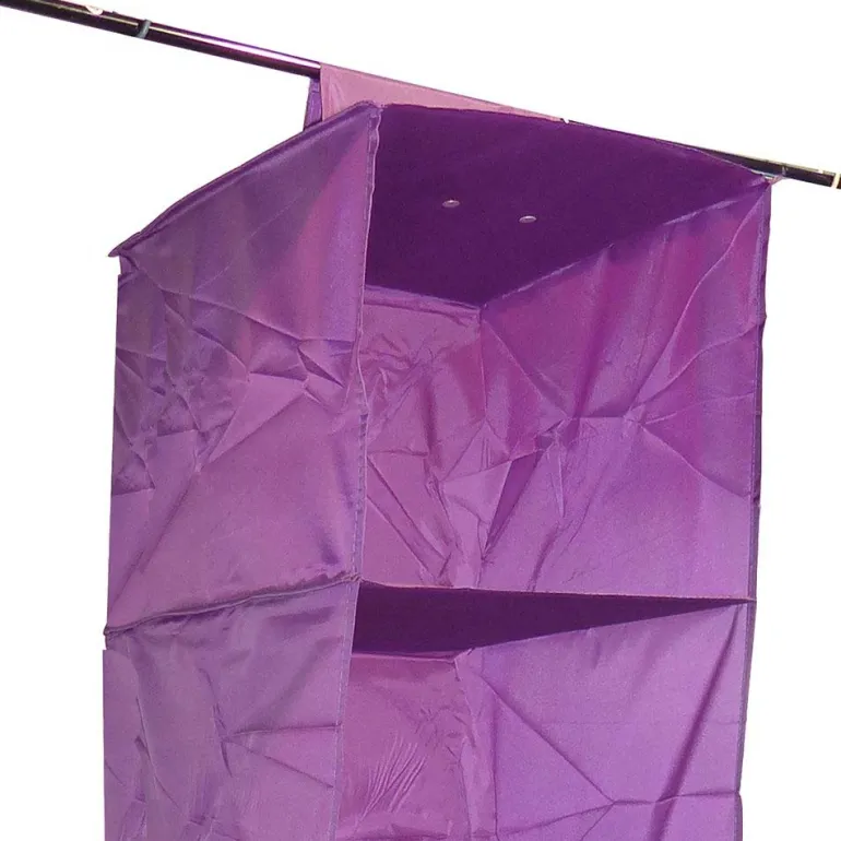 Organisateur de penderie en pvc 5 cases will b (Prune)