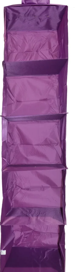 Organisateur de penderie en pvc 5 cases will b (Prune)