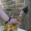 Ouvre bouteille tête d'animal (Ours)