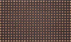 Paillasson en caoutchouc et coco 76 x 45,5 cm (Points)