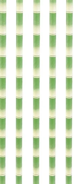 Pailles imprimées fantaisies en papier (Lot de 50) (Bambou)