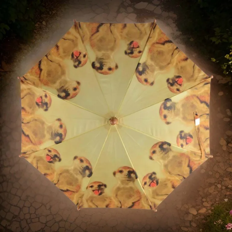 Parapluie enfant out of Africa (Suricate)