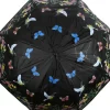 Parapluie oiseau couleurs changeantes