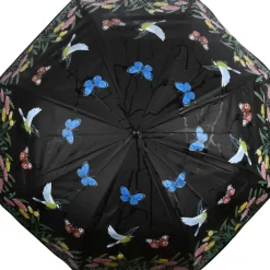 Parapluie oiseau couleurs changeantes