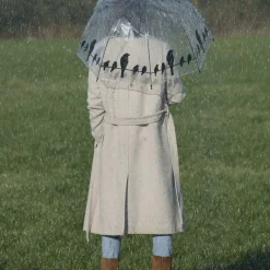 Parapluie transparent noir (Oiseaux sur un fil)