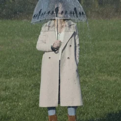 Parapluie transparent noir (Oiseaux sur un fil)