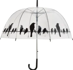 Parapluie transparent noir (Oiseaux sur un fil)