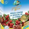 2 pièges contre la mouche de cerise
