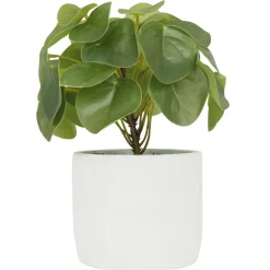 Pilea artificielle pot effet ciment 23 cm