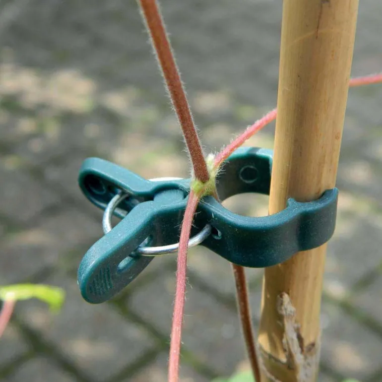 Pinces de fixation en plastique pour plantes (Petit modèle)