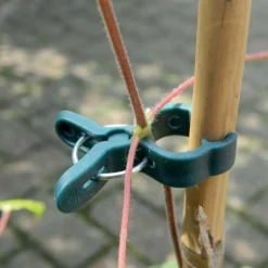 Pinces de fixation en plastique pour plantes (Lot de 10)