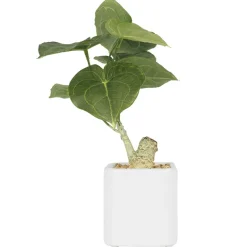 Plante artificielle pot carré blanc mat 26 cm