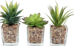 Plantes artificielles dans pot en verre 6.5 x 6.5 x 17 cm (Lot de 3)