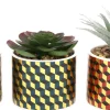 Plantes succulentes artificielles Cubic (Lot de 3)