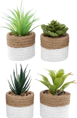 Plante succulente en pot bicolore 8 x 15 cm (Lot de 4)
