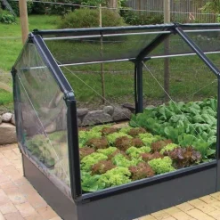 Potager premium avec serre et protection Veg
