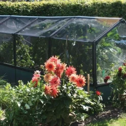 Potager premium avec serre et protection Veg