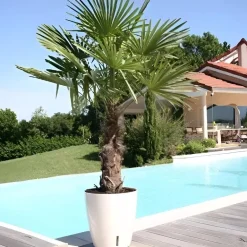 Pot en plastique rond avec réserve d'eau 35 cm Eva (Blanc)