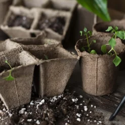 Pots de plantation bio sans tourbe (80 pots - 6 cm - carrés)