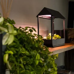 Serre avec lampe de croissance design (Noir)