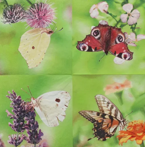 Serviette en papier de soie avec motifs (Lot de 20) (Papillon)