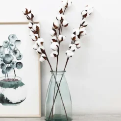 Set de 3 branches de coton 70 cm