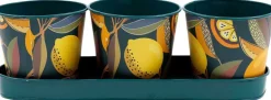 Set de 3 cache-pots en métal Citrus
