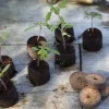 Set de 50 poches de plantation en filet