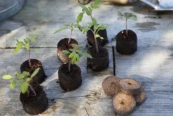 Set de 50 poches de plantation en filet