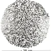 Set de table rond feuillage 38 cm (Argenté)
