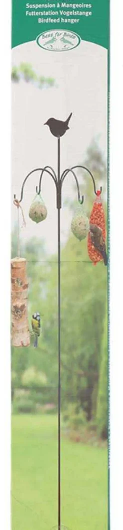Station d'alimentation pour oiseaux à planter