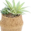 Succulente artificielle dans pot tressé 22 x 14 cm