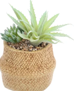 Succulente artificielle dans pot tressé 22 x 14 cm