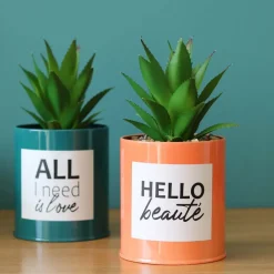 Succulentes artificielles dans pots à message 17 cm (Lot de 2)