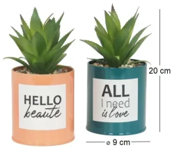 Succulentes artificielles dans pots à message 17 cm (Lot de 2)