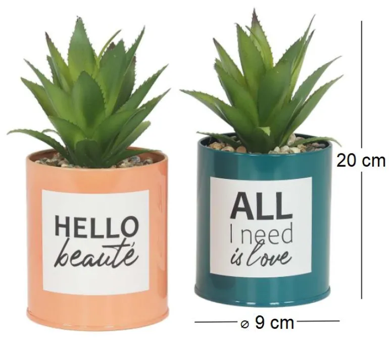 Succulentes artificielles dans pots à message 17 cm (Lot de 2)