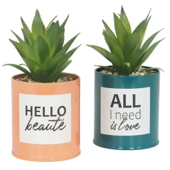 Succulentes artificielles dans pots à message 17 cm (Lot de 2)