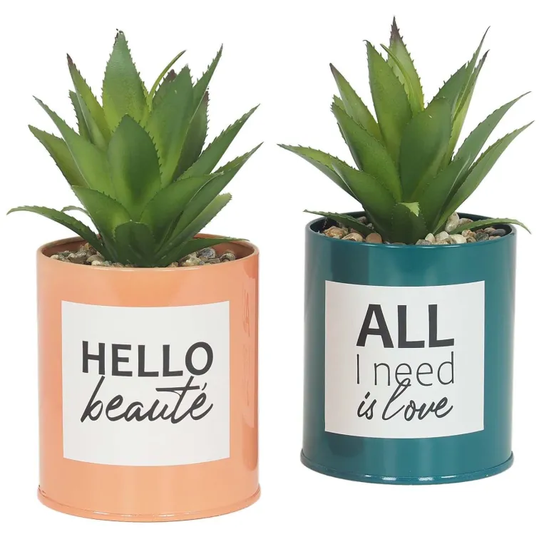 Succulentes artificielles dans pots à message 17 cm (Lot de 2)