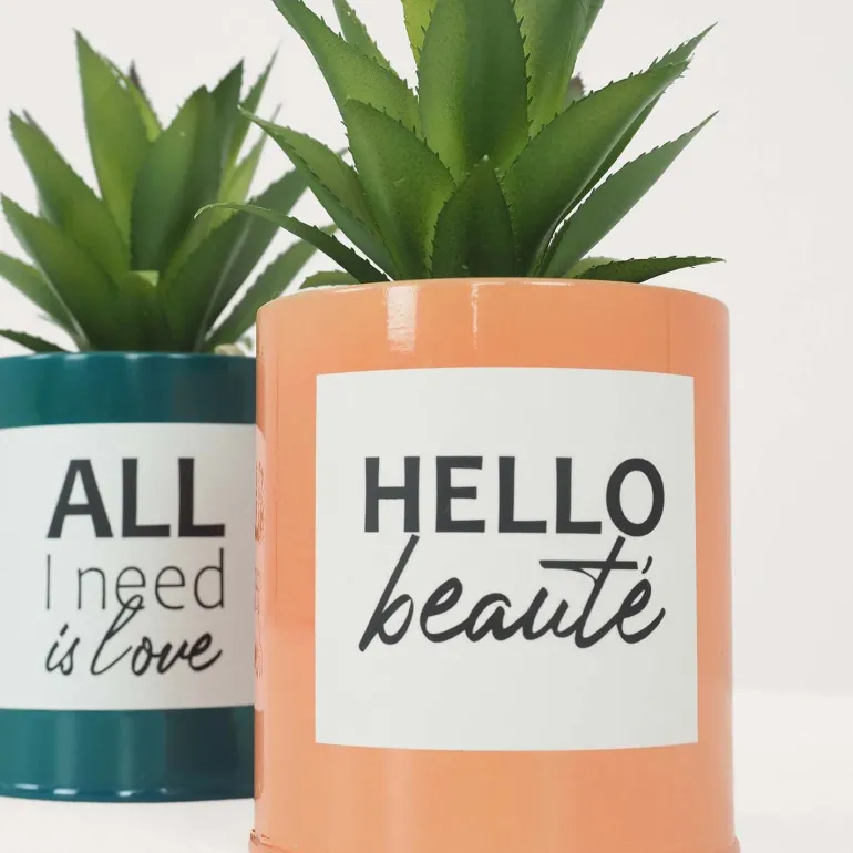 Succulentes artificielles dans pots à message 17 cm (Lot de 2)