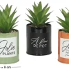 Succulentes artificielles dans pots colorés 17 cm (Lot de 3)