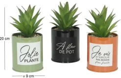 Succulentes artificielles dans pots colorés 17 cm (Lot de 3)