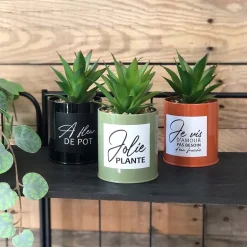 Succulentes artificielles dans pots colorés 17 cm (Lot de 3)