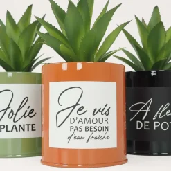 Succulentes artificielles dans pots colorés 17 cm (Lot de 3)