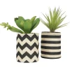 Succulentes dans pot en toile de jute 26 cm (Lot de 2)