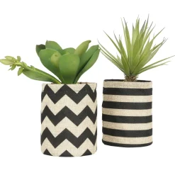 Succulentes dans pot en toile de jute 26 cm (Lot de 2)