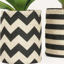 Succulentes dans pot en toile de jute 26 cm (Lot de 2)