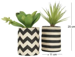 Succulentes dans pot en toile de jute 26 cm (Lot de 2)